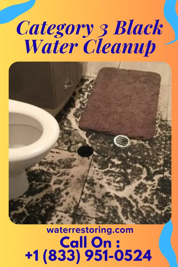 Category 3 Black Water Cleanup in District Heights, MD