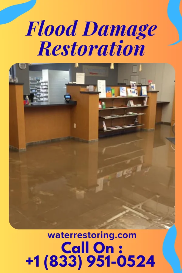 Flood Damage Restoration in District Heights, MD