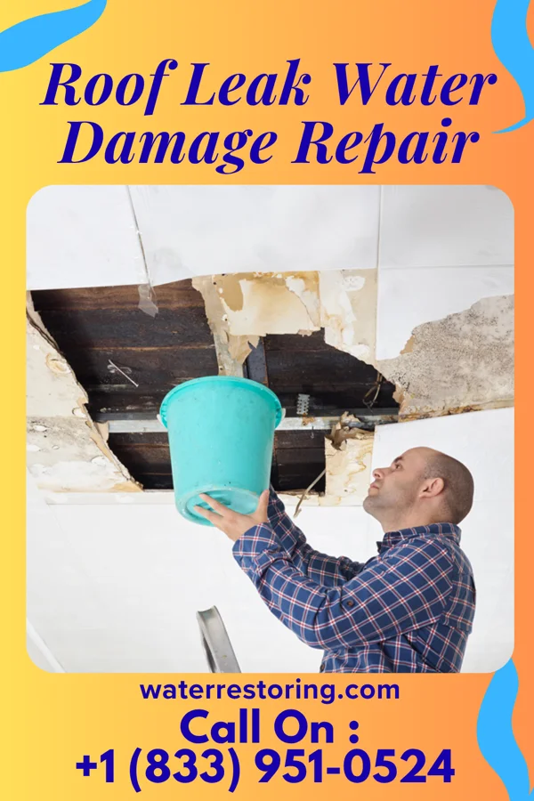 Roof Leak Water Damage Repair in District Heights, MD