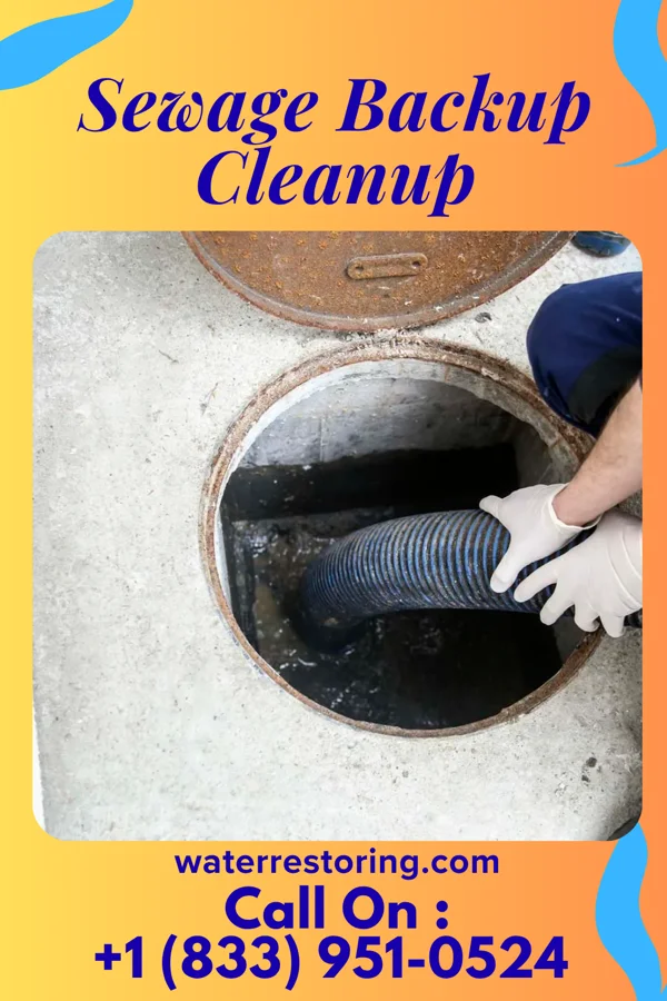 Sewage Backup Cleanup in District Heights, MD