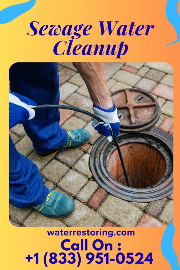 Sewage Water Cleanup in District Heights, MD