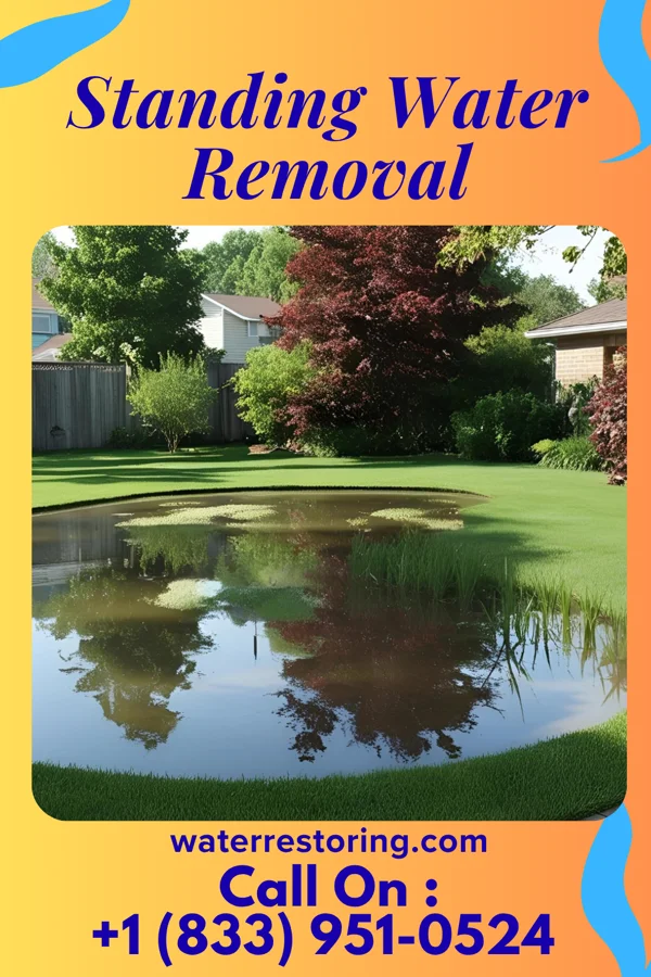 Standing Water Removal in District Heights, MD